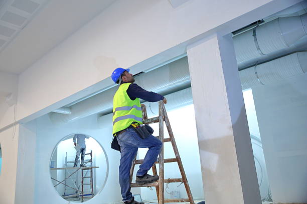 Best Mold Damage Restoration  in South Williamsport, PA